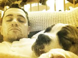 My 7 year old bull dog Gunner weight 58 lbs