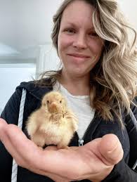 Just a reminder that the Queen Conch cannot save itself. It's up to us. be  a part of the solution. We can do it together if we all follow the existing  laws