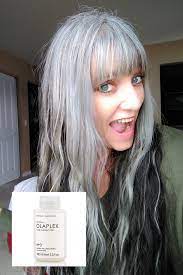 Blending Gray Hair Skunk Line And Silver Toning At Home Blending Gray Hair Grey Hair Diy Long Gray Hair