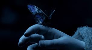 A Lion Hearted Girl Light In The Dark Mystery Thriller Blue Butterfly