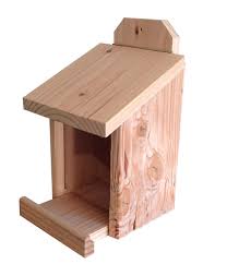 Installez la mangeoire de façon à ce. Mangeoire Murale Pour Oiseaux En Bois Caillard Jura Leroy Merlin
