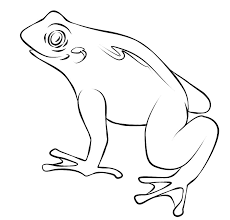 In case you don't find what you are looking for, use the top search bar to search again! Printable Toad Coloring Pages Coloringme Com