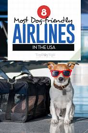Pet airways believes that pets deserve to travel with the utmost comfort and safety, as respected and valued passengers, not as 'cargo' in the way that commercial airlines handle them. 8 Most Dog Friendly Airlines And Their Pet Policies