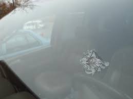See more ideas about repair, wind screen, auto glass. Cracked Windshield Repair Fix Chipped Windshield Glass