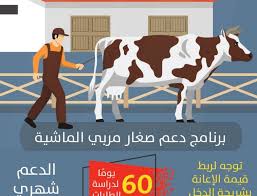 إطلاق برنامج أنعام لتطوير ودعم صغار مربي الماشية. Ø±Ø§Ø¨Ø· ÙˆÙƒÙŠÙÙŠØ© Ø§Ù„ØªØ³Ø¬ÙŠÙ„ ÙÙŠ Ø¯Ø¹Ù… ØµØºØ§Ø± Ù…Ø±Ø¨ÙŠ Ø§Ù„Ù…ÙˆØ§Ø´ÙŠ Ø³Ø¹ÙˆØ¯ÙŠØ© Ù†ÙŠÙˆØ²