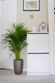 Given the correct care and using the right bonsai tools and techniques. Our Home Adding A Touch Of Nature With Homebase Lifeimprovement Alex Gladwin