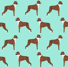 Colorful Fabrics Digitally Printed By Spoonflower Boxer Dog Dogs Boxer Cute Dog Pet Dogs Boxer Fabric For Crafts Home Decor Textiles Boxer Owners Accesso Boxer Dogs Boxer Dog Cute Dogs