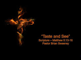 Can The Salt Of The Earth Lose Its Flavor? - The Outlaw Bible Student