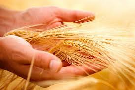 Resultado de imagen para la mies es mucha, los obreros pocos