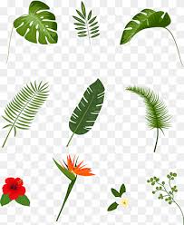 Flowers And Leaves Illustration Tropics Euclidean Hand Painted Tropical Leaves Watercolor Painting Watercolor Leaves Leaf Png Pngwing Floral tropical leaves flower wedding bouquet frame watercolor. flowers and leaves illustration