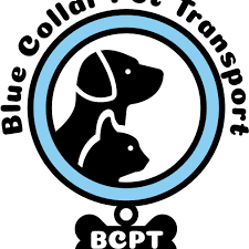 Long distance pet transport reviews. The 6 Best Pet Transportation Services Of 2021