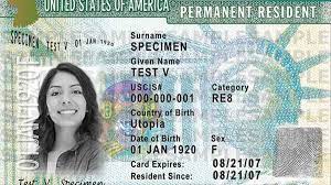 It takes 7 to 33 months to process a green card application. Undocumented Spouses Of Us Citizens Are Desperately Applying For Green Cards Because Of Trump