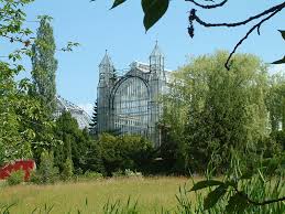 Im botanischen garten werden seltene wildpflanzen außerhalb ihres lebensraumes erhalten. Standort Botanischer Garten Berlin De