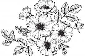 Sfuse o in set di metallo e cartone. 7 Disegni Bellissimi Da Scaricare Gratis Donnad Disegno Di Fiori Fiori Disegnati A Matita Disegno Floreale