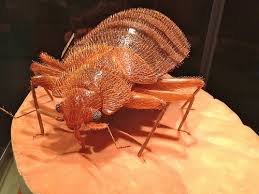 Serving springfield va and surrounding areas. Chilton S Environmental Termite Pest Control 1208 Eaglecrest St Nixa Mo Pest Control Mapquest