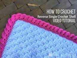 Stunning And Easy Crochet Border Using Reverse Shells Video Tutorial Crochet Border Patterns Crochet Blanket Edging Crochet Edging Patterns