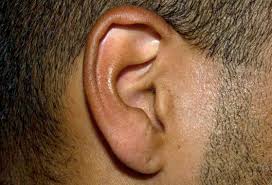 Behind the ear, there are no rules, so anything goes when it comes to designs. Ear Tattoos Lovetoknow