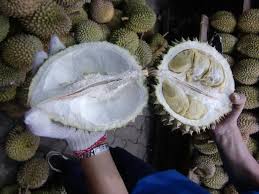 We did not find results for: Cerita Omak Melalak