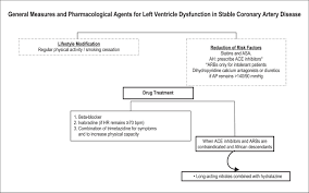 Executive Summary Of The Guidelines On Stable Coronary Disease