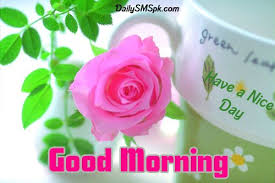 Good Morning Wishes For Husband Love Rose Images Amazing Flowers Rose Flower Photos