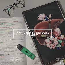 Pin On Medecine Sante