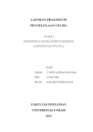 Rumput teki adalah salah satu tumbuhan yang lebih dikenal sebagai gulma karena keberadaannya sering mengganggu pertumbuhan tanaman lain. Laporan Praktikum Pengelolaan Gulma Identifikasi Gulma Rumput Bermuda Cynodon Dactylon L Sena Pradana Academia Edu