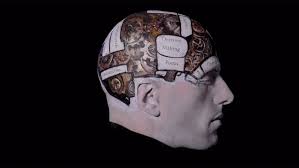 An intimate, very visual exploration of the harrowing cycle of bipolar  disorder