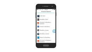 Privately browse the web without saving any browser history. Secure Mobile Browser Blackberry Access