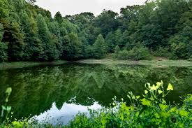 Neversink preserve loop is a 12.6 mile loop trail located near reading, pennsylvania that features a river and is rated as moderate. Hiking Trails Bike Trails Kayaking Fishing Outdoor Activities In Hershey Harrisburg
