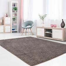 17 Stories Adamma Taupe Rug Taupe Rug Rugs On Carpet City Rugs