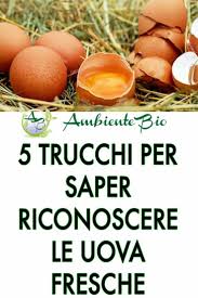 Al di là del cattivo odore e del brutto aspetto, si rischia di dover buttar via un intero composto, o peggio, tutto l'impasto.ci sono, però, tre semplici test grazie ai quali possiamo determinare la freschezza delle uova. Pin Su Mercato