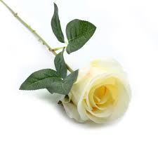 The cylinders bores were attached to the outer case at the 12, 3, 6 and 9 o'clock positions) for greater rigidity around the head gasket. Artificial Flowers Astra Craft Hy125 81011 Buy In New York City At A Bargain Price On Global Flowers