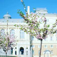 Весна в Одессе: посмотри, как это красиво - Одесса Vgorode.ua