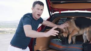 Male dog names based on fancy or powerful vehicles. The Top 10 Best Cars For Dogs And Dog Owners Carwow