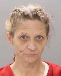 ROUSE, MELISSA ANN Charges: METH