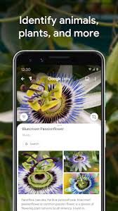 If you're tired of using dating apps to meet potential partners, you're not alone. Google Lens Apps On Google Play