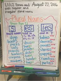 plural nouns mrs wests 3rd grade