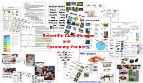 scientific classification and taxonomy packet homeschool