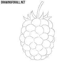 How To Draw A Blackberry