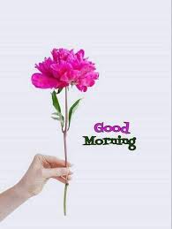 صور رمزيات صباح الخير حبيبي بالانجليزي صور عالية الجودة Morning Greetings Quotes Morning Quotes Good Morning Messages