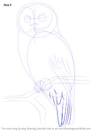 Learn How To Draw A Tawny Owl Owls Step By Step Drawing Tutorials Owls Drawing Owl Drawing Simple Bird Drawings