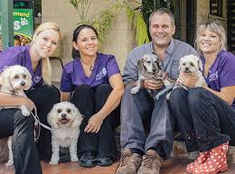 It is the mission of dr. Home Wulguru Veterinary Clinic