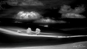 Image result for tbn:cRxpWML3C6TQFM::farm3.static.flickr.com/2382/2420623259_e3c8cd4fd8.jpg