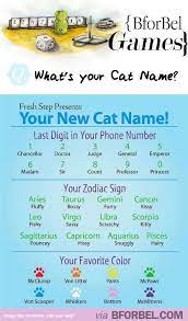 Let S Play A Game What S Your Cat Name According To This Chart Funny Name Generator Cat Name Lets Play A Game