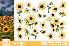 These free nurse svg cutting files are great to use with a silhouette or cricut cutting machine. Svg Cricut Sunflower Free Svg Cut Files Create Your Diy Projects Using Your Cricut Explore Silhouette And More The Free Cut Files Include Svg Dxf Eps And Png Files