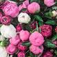 Date Night in the Peonies