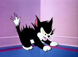 This feline, whom the protagonist, lieutenant ellen ripley, affectionately refers to as jonesy, stars in a moment of real tension, when ripley sends a crewman in search of the. 15 Famous Black Cat Names In Movies Cat Names Black Cat Famous Black