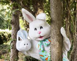 The Best Princess Parties For Hire In Waterford IE