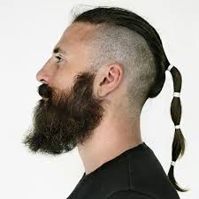 Maybe you would like to learn more about one of these? Man Ponytail And Full Gallery Of The Most Picturesque Styles