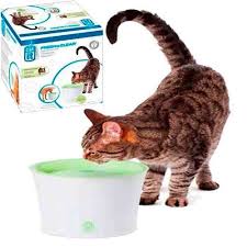 catit ekonomik kedi sulugu 3 lt 022517556009 amazon pet center kedi kopek amazonlar